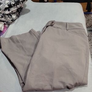 Rafaella Women's Pants